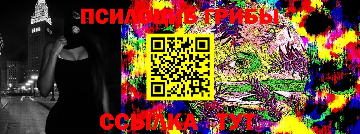 Псилоцибиновые грибы Psilocybine cubensis  Вход с VPN  Великий Устюг 